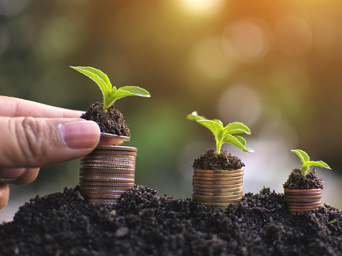 plants growing out of coins simple retirement plan concept